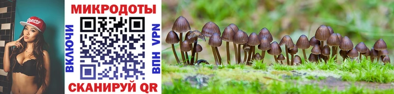 мориарти телеграм Бородино Псилоцибиновые грибы Cubensis наркотики МЕГА ССЫЛКА